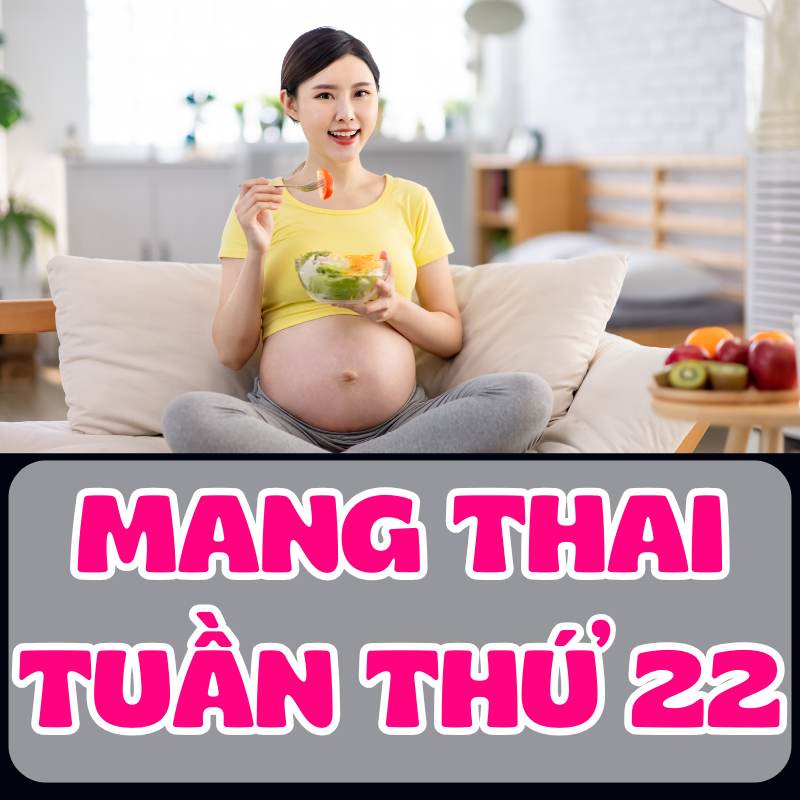 Mẹ bầu chăm sóc sức khỏe dinh dưỡng thai kỳ tuần thứ 22